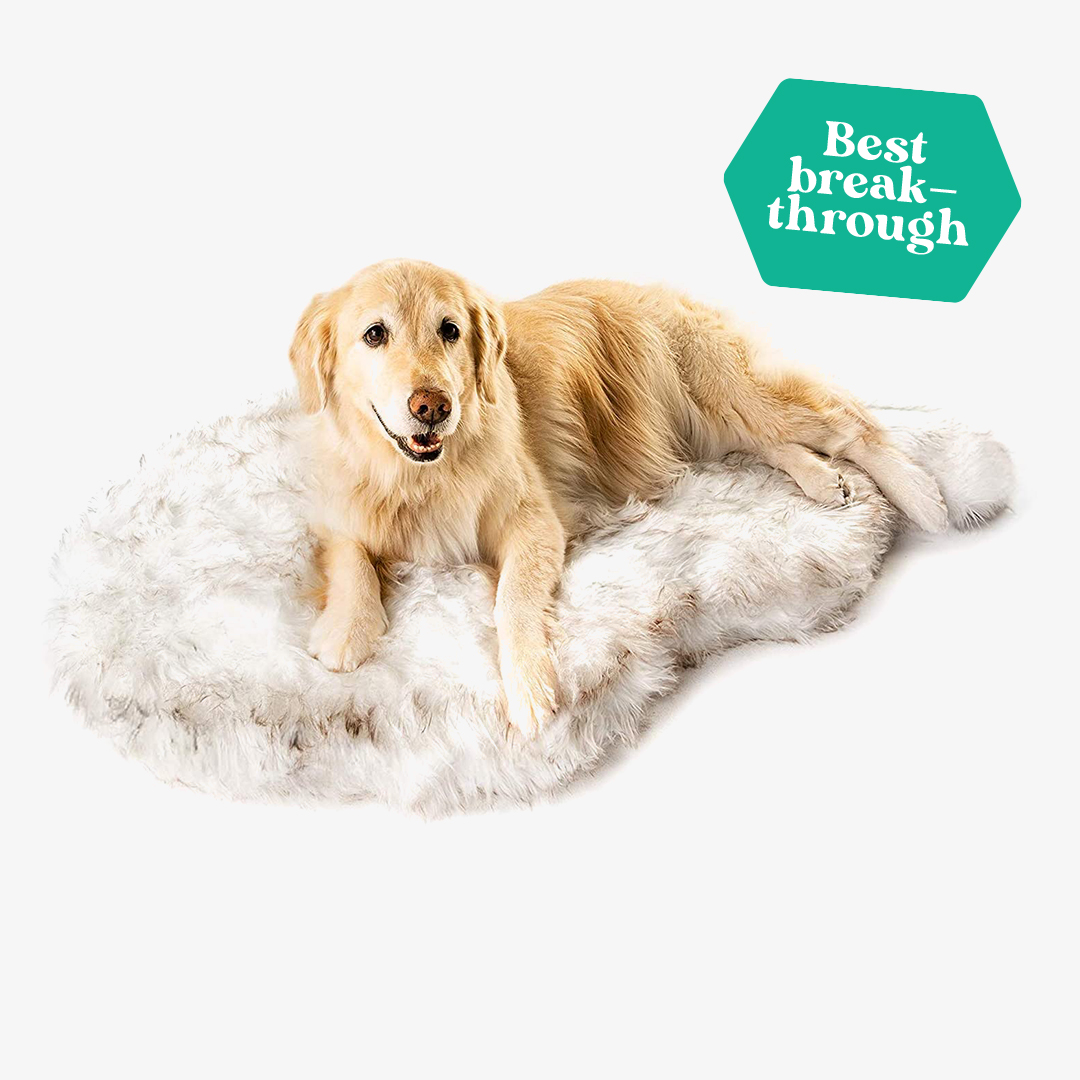 Puprug Faux Fur Memory Foam Orthopedic Modern Dog Bed
