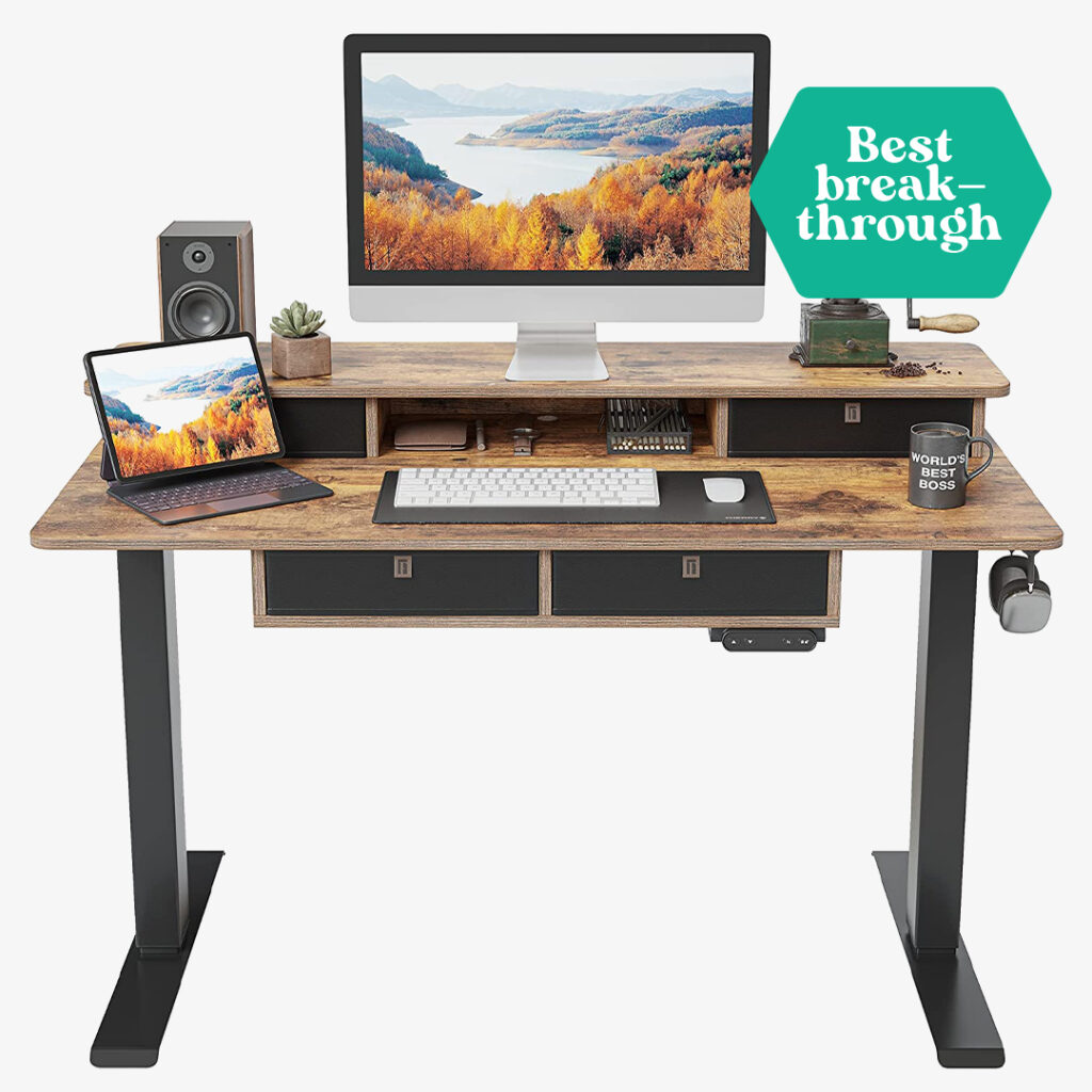 Fezibo Height Adjustable Electric Wood Standing Desk with 4 Drawers