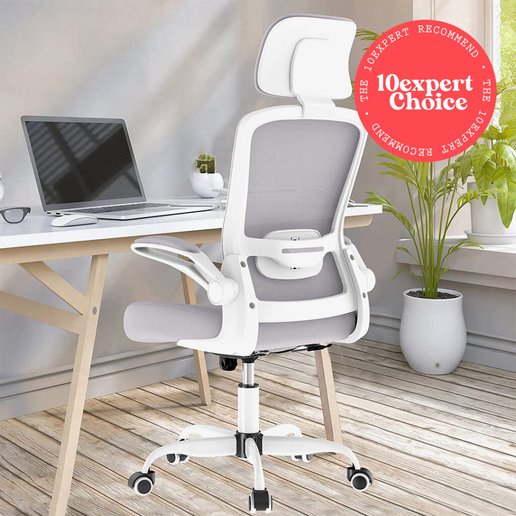 Mimoglad Office Chair with Adjustable Lumbar Support and Headrest