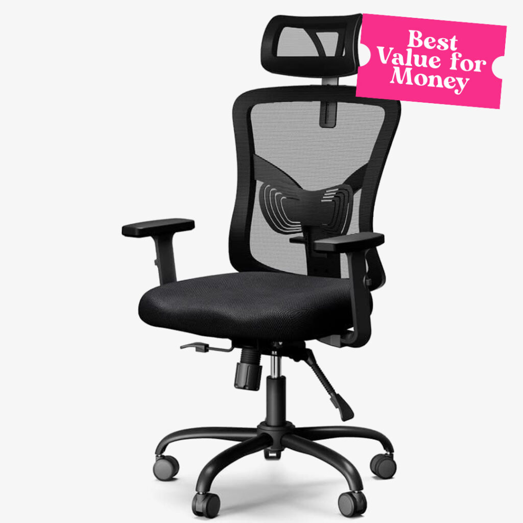 Noblewell Ergonomic Office Chair with Lumbar Support and Adjustable Armrest