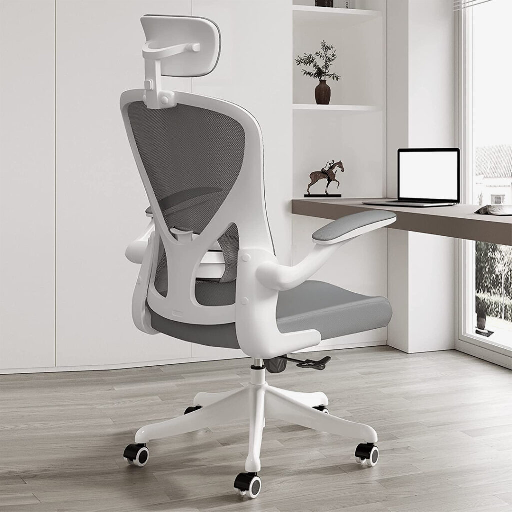 SICHY AGE Ergonomic Office Chair with Adjustable Headrest and Cushion