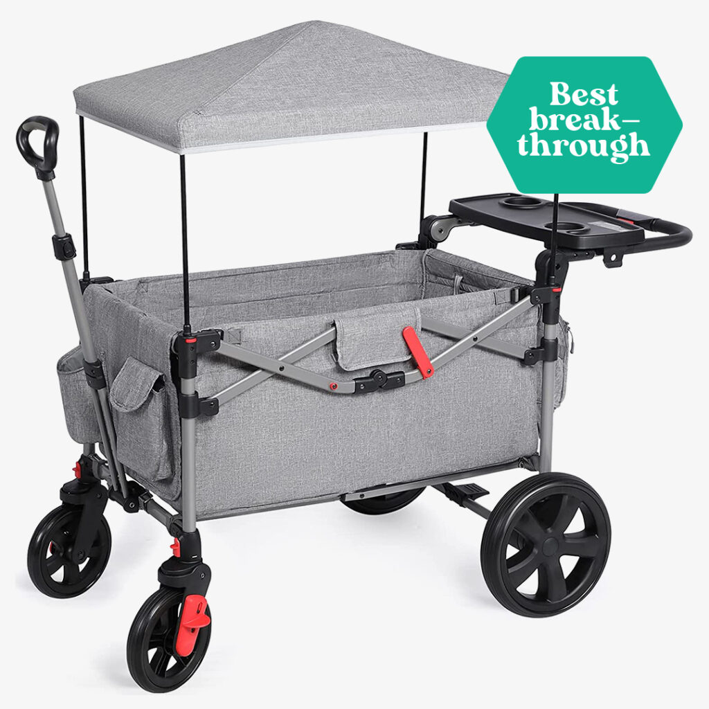 EVER ADVANCED Foldable Wagons for Two Kids & Cargo