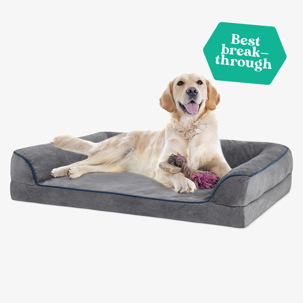 Sicilaien Orthopedic Sofa Dog Bed