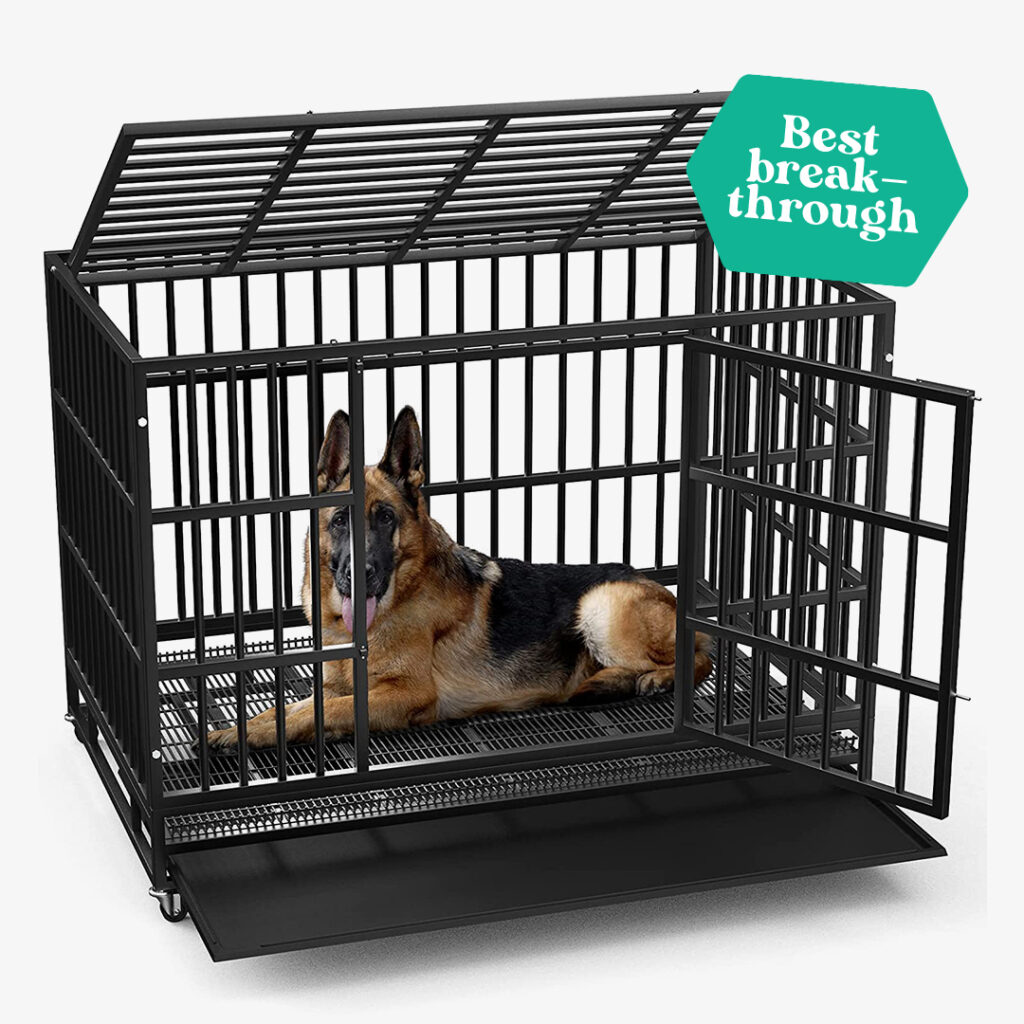 fable dog crate: lemberi heavy duty indestructible 