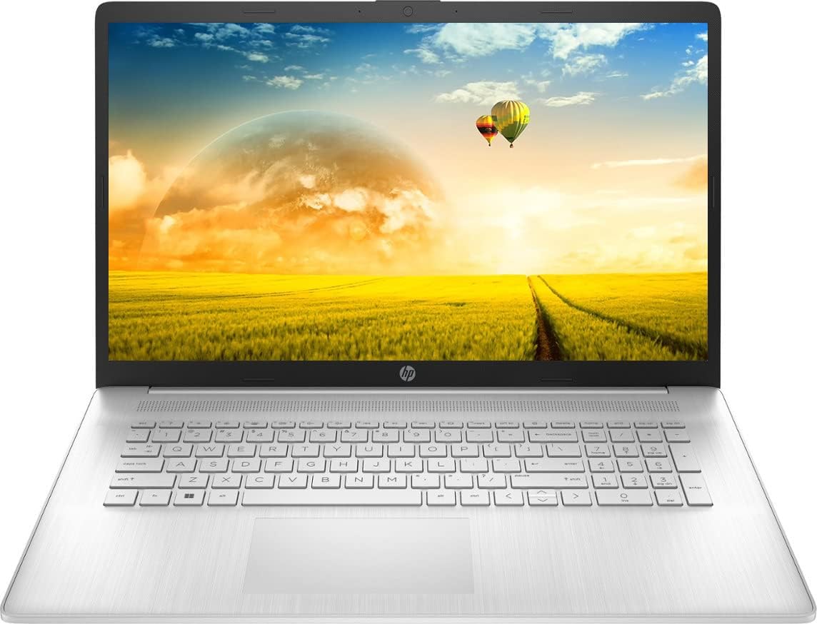 P 17.3 inch Flagship HD Business Laptop